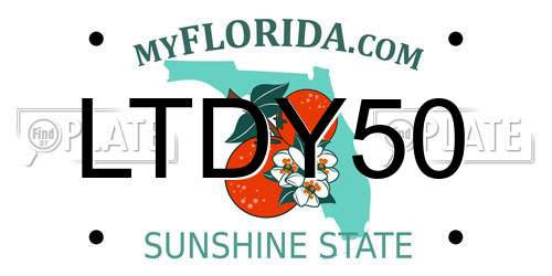 LTDY50 Florida License Plate