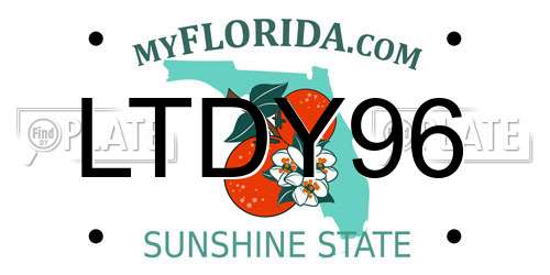 LTDY96 Florida License Plate