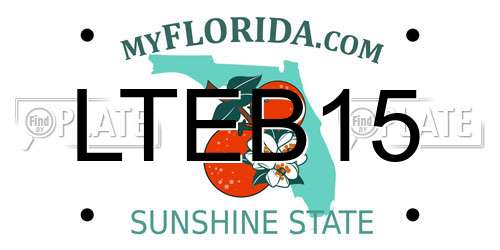 LTEB15 Florida License Plate