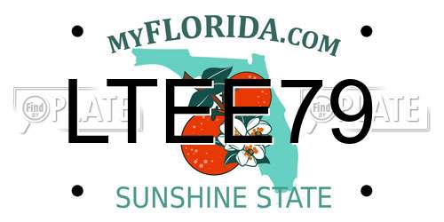 LTEE79 Florida License Plate