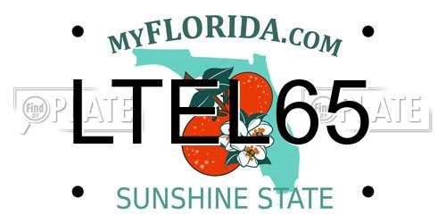 LTEL65 Florida License Plate