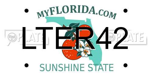 LTER42 Florida License Plate