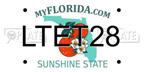 LTET28 Florida License Plate