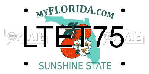LTET75 Florida License Plate