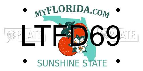 LTFD69 Florida License Plate