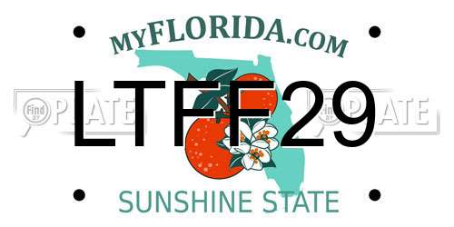 LTFF29 Florida License Plate