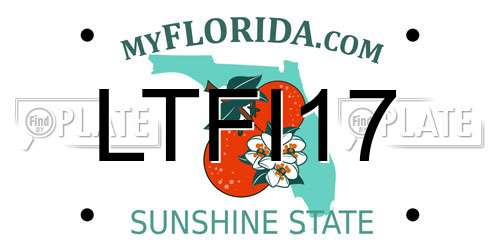 LTFI17 Florida License Plate