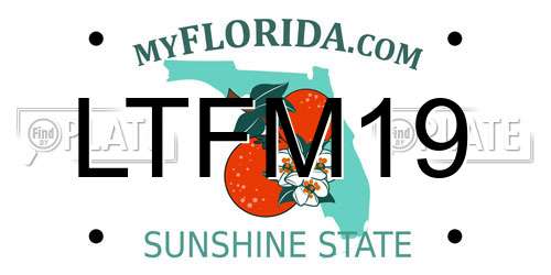 LTFM19 Florida License Plate