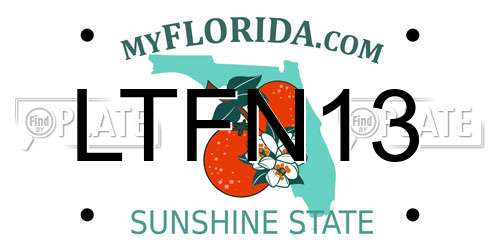 LTFN13 Florida License Plate