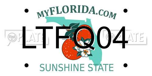 LTFQ04 Florida License Plate