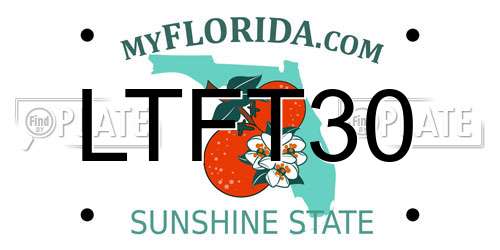 LTFT30 Florida License Plate
