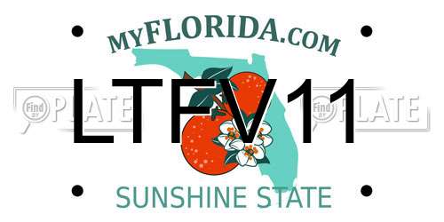 LTFV11 Florida License Plate