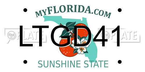 LTGD41 Florida License Plate