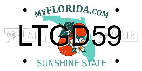 LTGD59 Florida License Plate