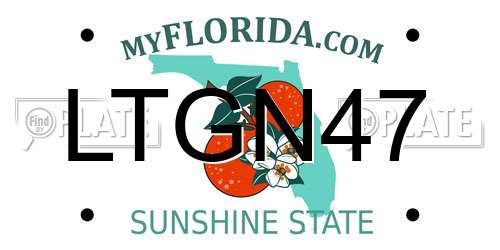 LTGN47 Florida License Plate