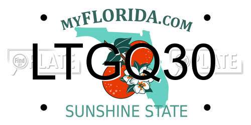 LTGQ30 Florida License Plate