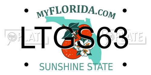 LTGS63 Florida License Plate