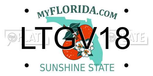 LTGV18 Florida License Plate
