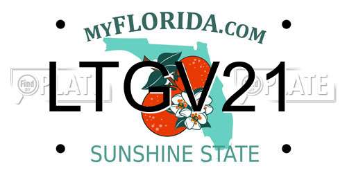 LTGV21 Florida License Plate
