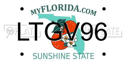 LTGV96 Florida License Plate