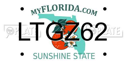 LTGZ62 Florida License Plate