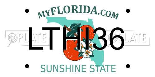 LTHI36 Florida License Plate