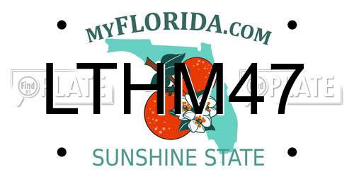 LTHM47 Florida License Plate