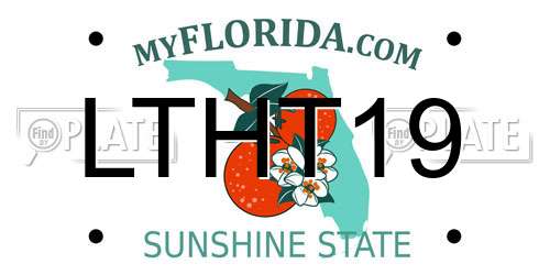 LTHT19 Florida License Plate