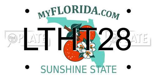 LTHT28 Florida License Plate