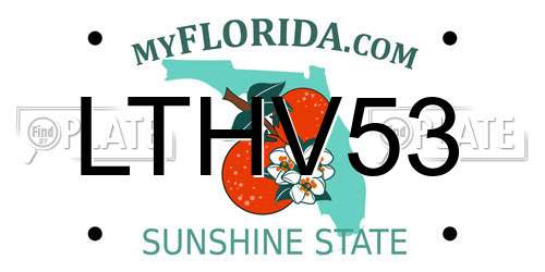 LTHV53 Florida License Plate