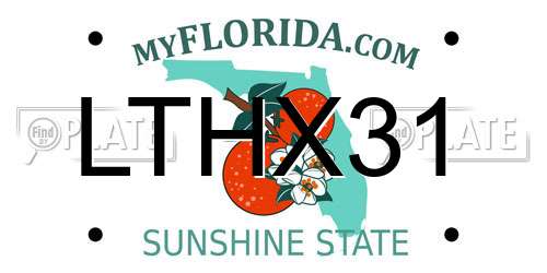 LTHX31 Florida License Plate