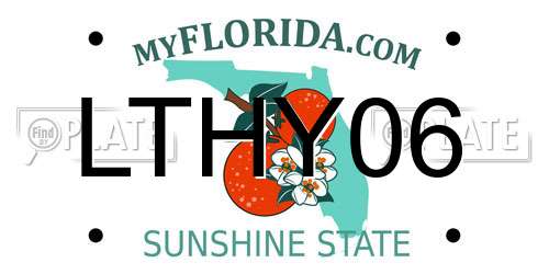 LTHY06 Florida License Plate