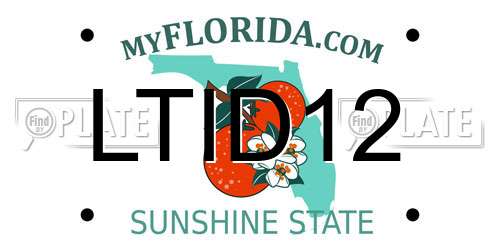 LTID12 Florida License Plate