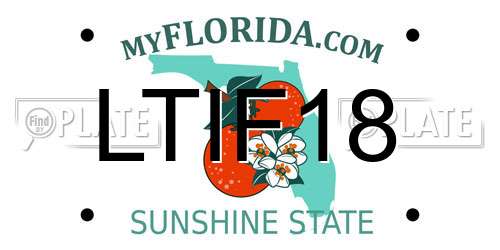 LTIF18 Florida License Plate