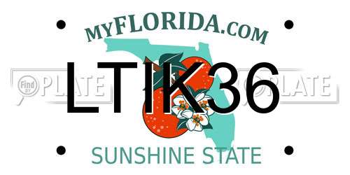 LTIK36 Florida License Plate