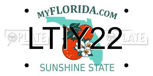 LTIY22 Florida License Plate