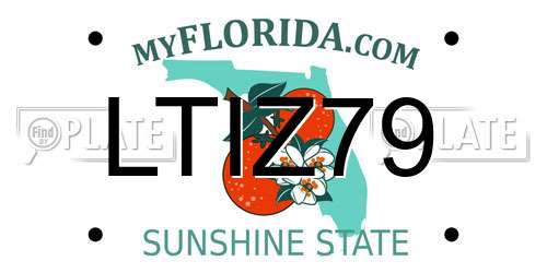 LTIZ79 Florida License Plate