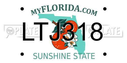 LTJ318 Florida License Plate