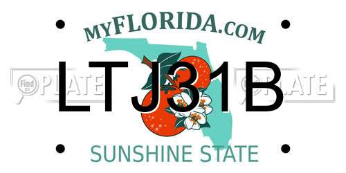LTJ31B Florida License Plate