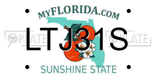 LTJ31S Florida License Plate