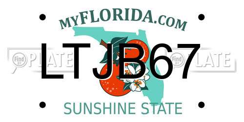 LTJB67 Florida License Plate