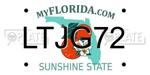 LTJG72 Florida License Plate