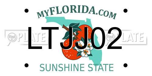 LTJJ02 Florida License Plate