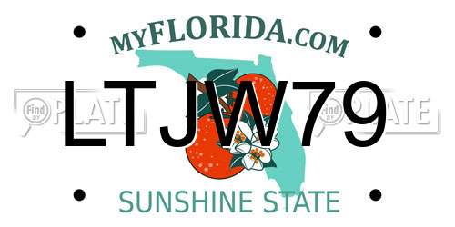 LTJW79 Florida License Plate