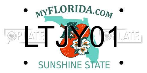 LTJY01 Florida License Plate