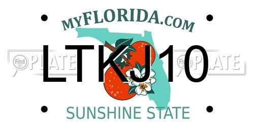 LTKJ10 Florida License Plate