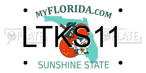 LTKS11 Florida License Plate