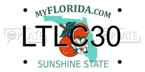 LTLC30 Florida License Plate