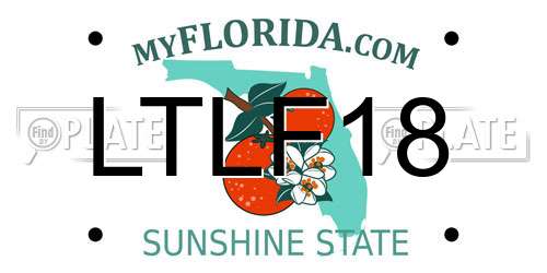 LTLF18 Florida License Plate