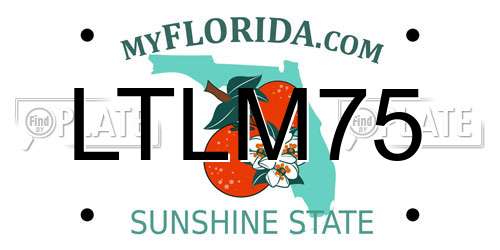 LTLM75 Florida License Plate